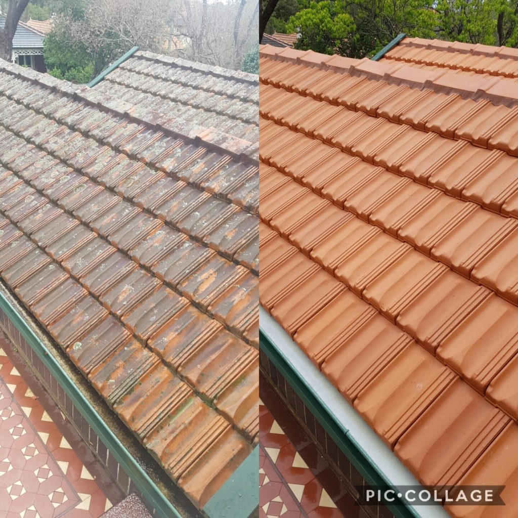 roof cleaning mosman