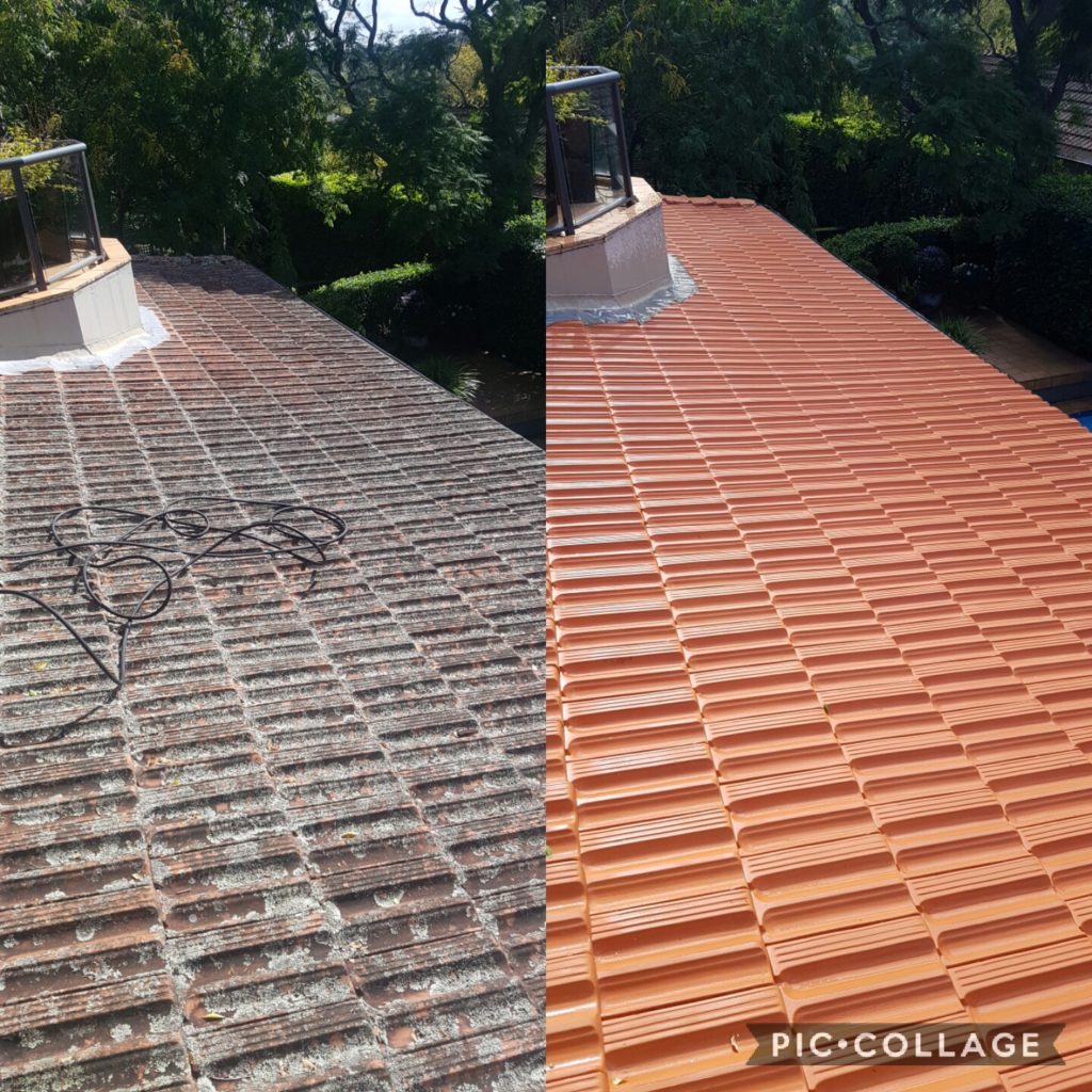 roof cleaning in lindfield