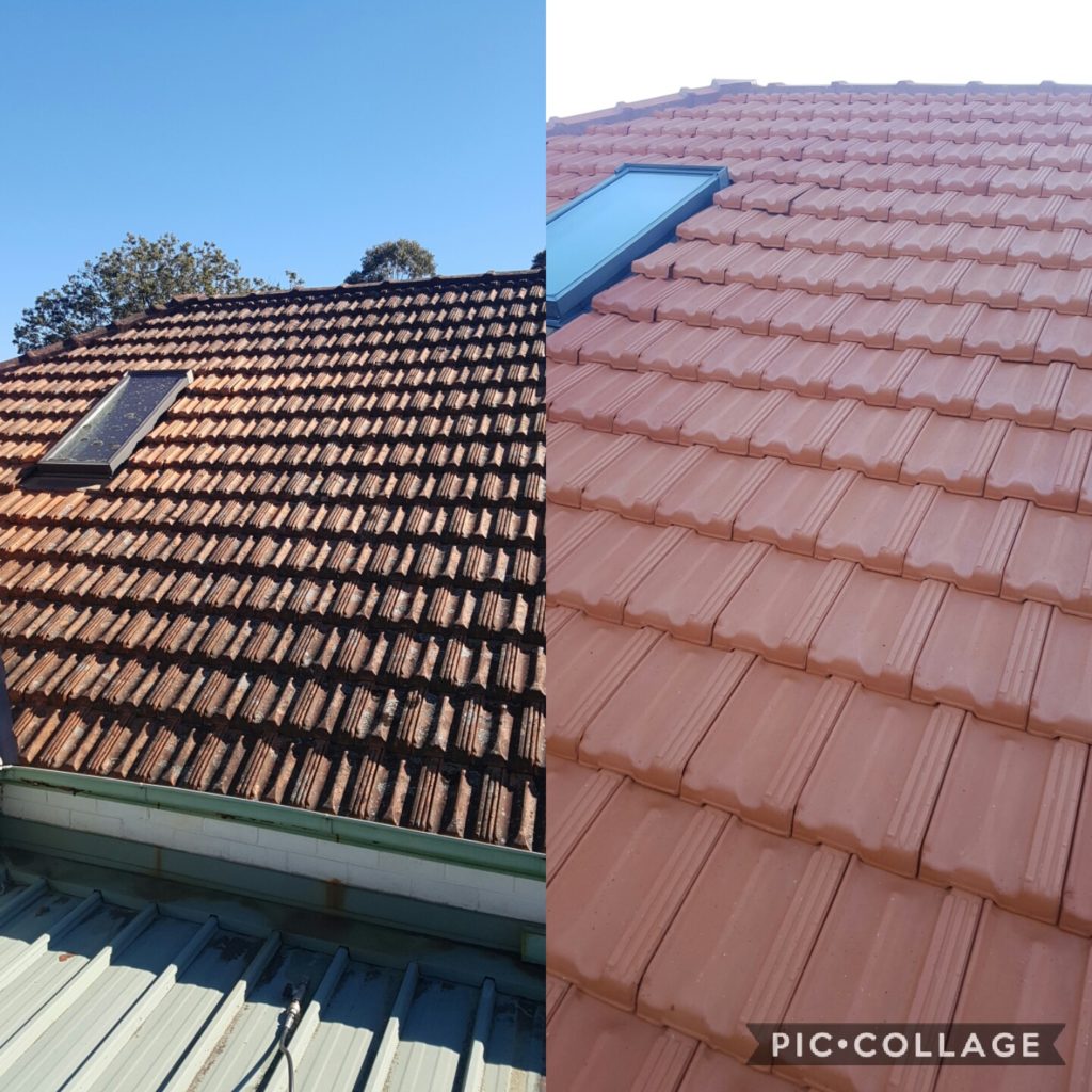 roof cleaning near st. ives